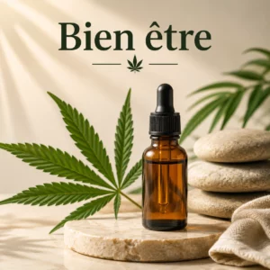 Bien être