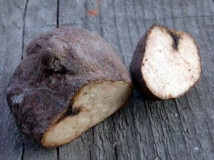 Truffes CBD du désert